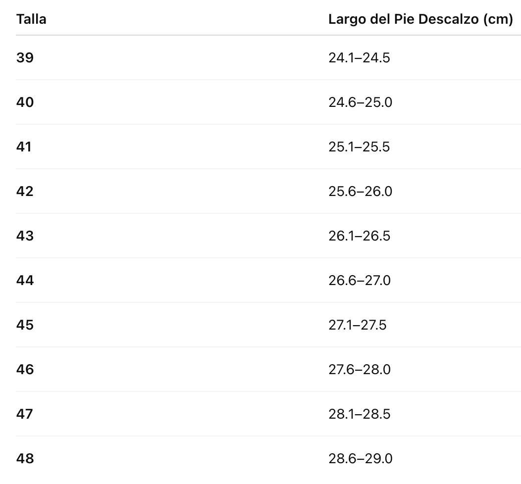 Zapato Estilo Único