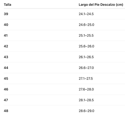 Zapato Estilo Único